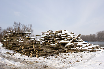 Image showing cut timber on bank of river in winter