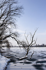 Image showing winter view of frozen lake and trees