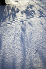 Image showing after snowfall and frost