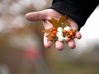 Image showing Human hand giving xmas decoration