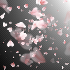 Image showing Cherry petals fall down. EPS 10