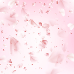 Image showing Flying petals of sakura. EPS 10
