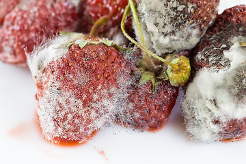 Image showing berries ripe strawberries