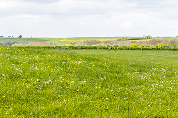Image showing rural landscape at spring time
