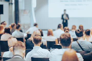 Image showing Business speaker giving a talk at business conference event.