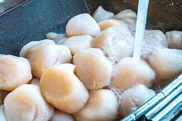 Image showing raw scallops prepared for party