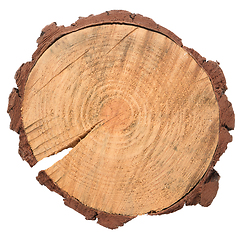 Image showing Wood log slice