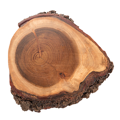 Image showing Wood log slice