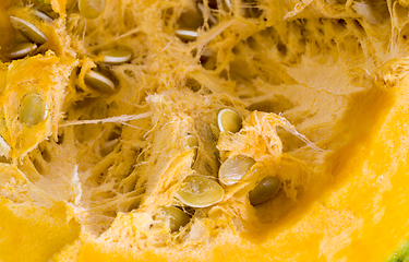 Image showing sliced and diced orange pumpkin