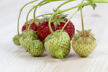 Image showing green and red strawberries