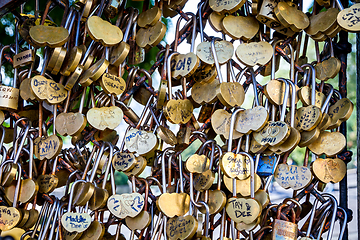 Image showing Love Paris Padlocks hanging on a fence