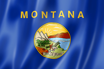 Image showing Montana flag, USA