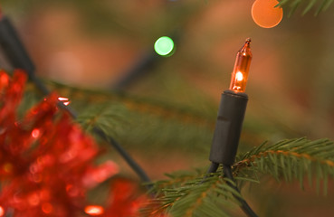 Image showing Christmas light