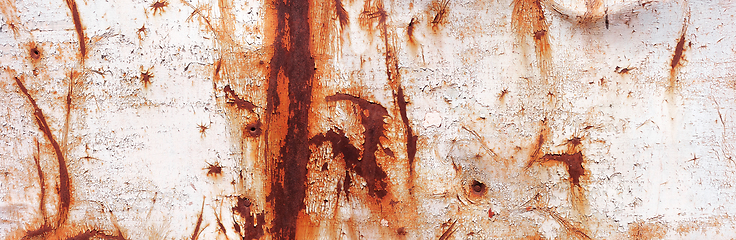 Image showing old rusty painted metal banner