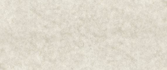 Image showing Old parchment paper. Banner texture