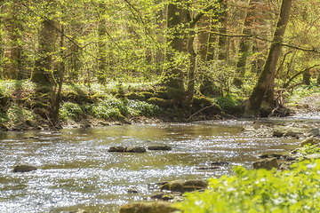 Image showing waterside scenery at spring time