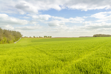 Image showing rural landscape at spring time