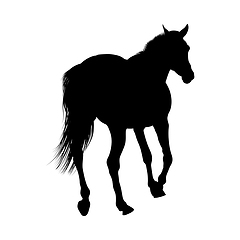 Image showing Horse Silhouette