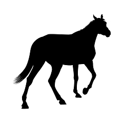 Image showing Horse Silhouette