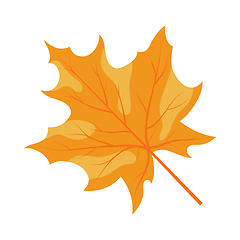 Image showing Autumn Maple Leaf