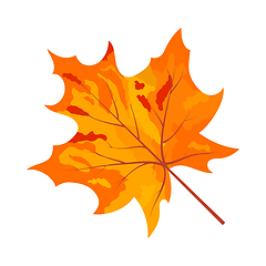 Image showing Autumn Maple Leaf