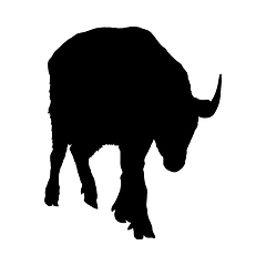 Image showing Bison Silhouette