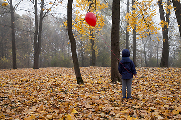 Image showing boy in a blue jacket