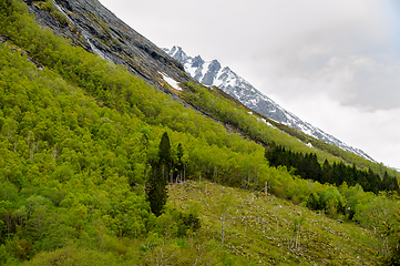 Image showing snow-covered mountain peak in spring with newly sprung leaves