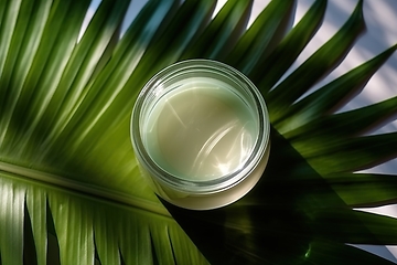 Image showing Glimpsing Beauty in a Moisturizing Jar