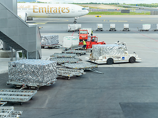 Image showing Salmon for export at Oslo Airport , Gardermoen