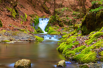 Image showing beautiful mountain stream in Apuseni mountains