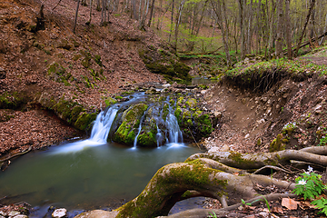 Image showing waterfall in Borzesti gorges