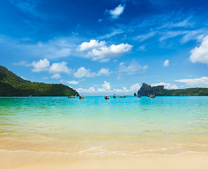 Image showing Long tail boats in bay. Thailand