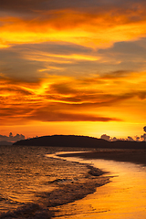 Image showing Tropcal beach sunset