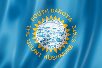 Image showing South Dakota flag, USA