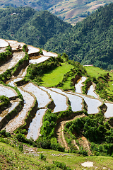 Image showing Rice field terraces. Near Sapa, Vietnam