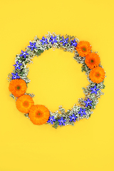 Image showing Natural Summer Flower and Wildflower Wreath