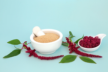 Image showing Amaranthus Herbal Plant Medicine Health Food