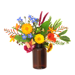 Image showing Surreal Summer Flower and Herb Arrangement