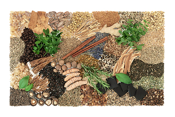 Image showing Nervine Ingredients for Natural Herbal  Plant Medicine  