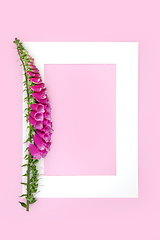 Image showing Foxglove Flower Natural Herbal Plant Medicine Background Frame