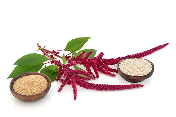 Image showing Amaranthus Plant Dried Seed and Puffed Grain