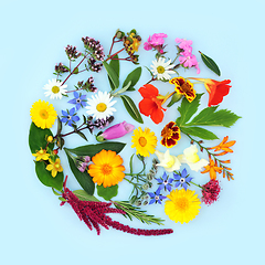 Image showing Summer Flowers and Herbs for Herbal Medicine Treatments