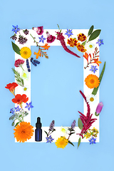 Image showing Natural Floral Background for Aromatherapy Essential Oils