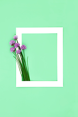 Image showing Chives Herb Background Border Frame