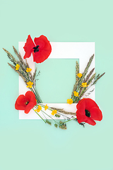 Image showing English Summer Wildflower Background Frame