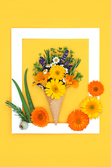 Image showing Ice Cream Cone Surreal Concept with Summer Flowers and Herbs