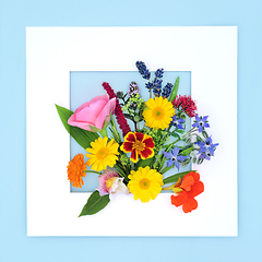 Image showing Summer Flowers Wildflowers and Herbs Background Frame