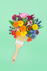 Image showing Surreal Crazy Paintbrush Flower and Herb Splash