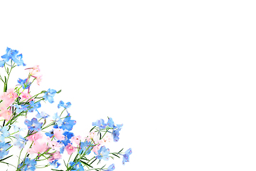 Image showing Pink and Blue Delphinium Wildflower Background